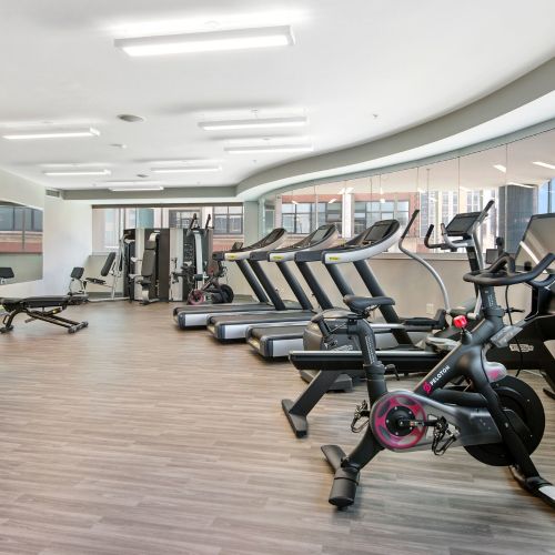 Resident fitness center with array of cardio and weightlifting equipment.