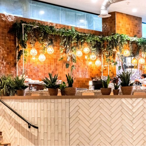 Urban respite meets spirited stomping grounds.