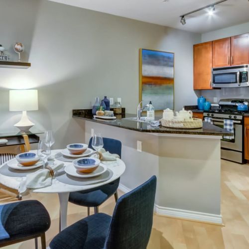 Kitchen with Stainless Steel Appliances