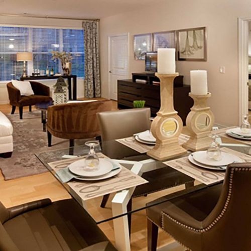 Living and Dining Room