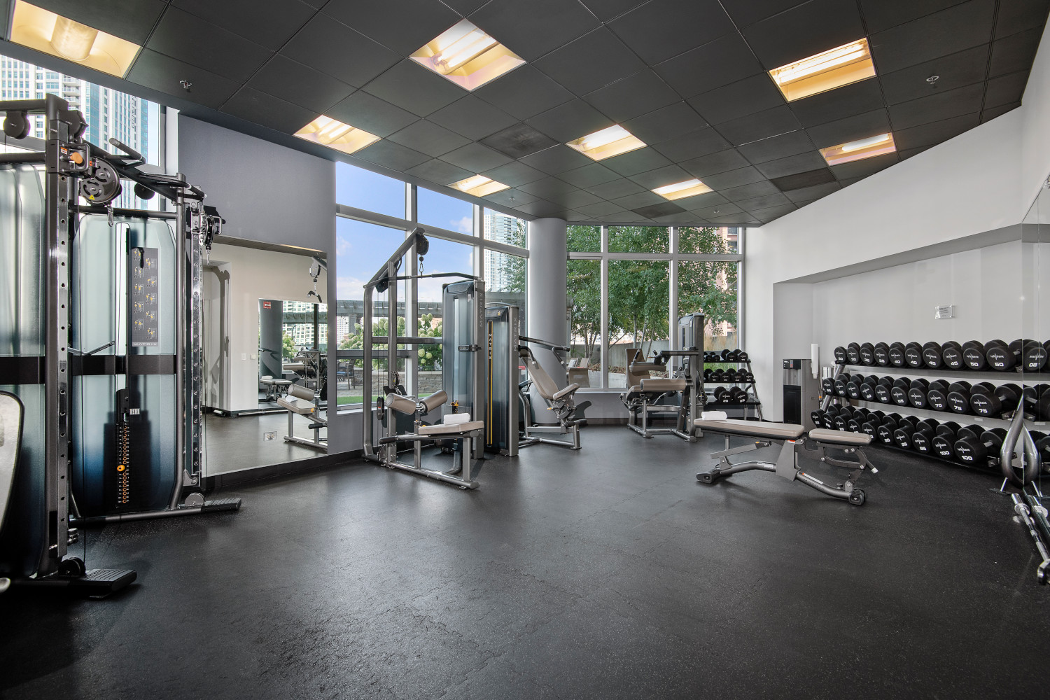 Left Bank : 24-Hour Fitness Center