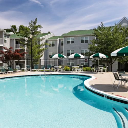 Sunny days were made for our sparkling swimming pool.