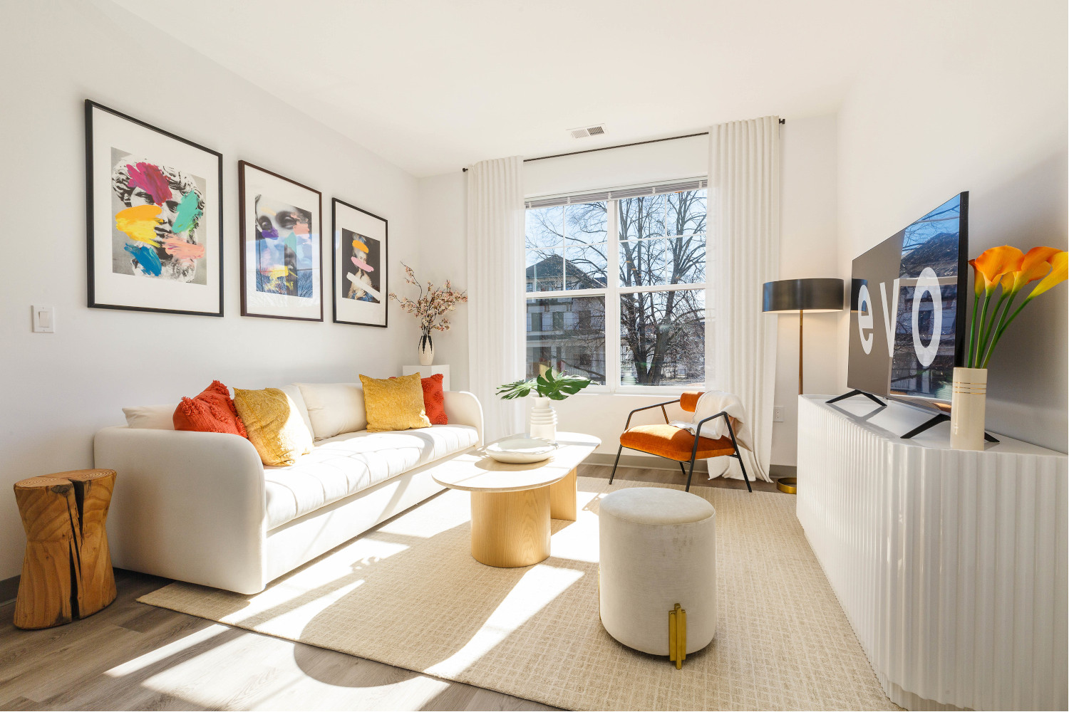 EVO Apartments : Living Space