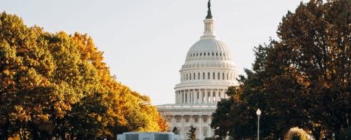View of the Capitol in Washington DC peaking out from behind trees