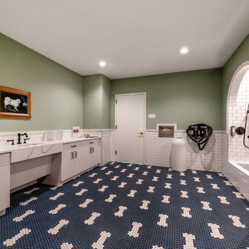 Pet spa with grooming stations