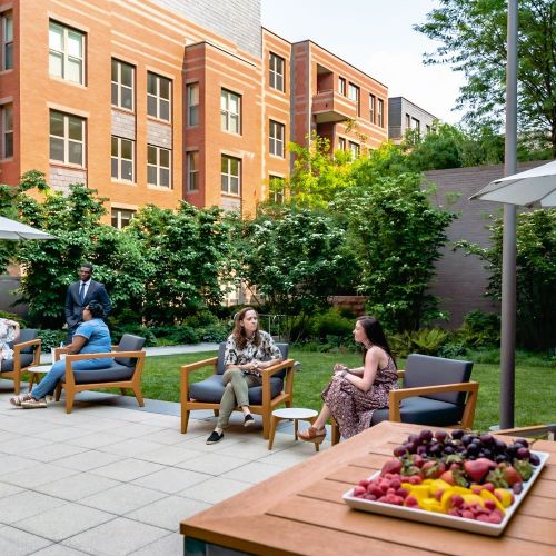 Secluded, private courtyards with overhanging trees and comfortable seating 