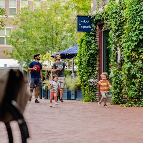 Explore hidden local gems