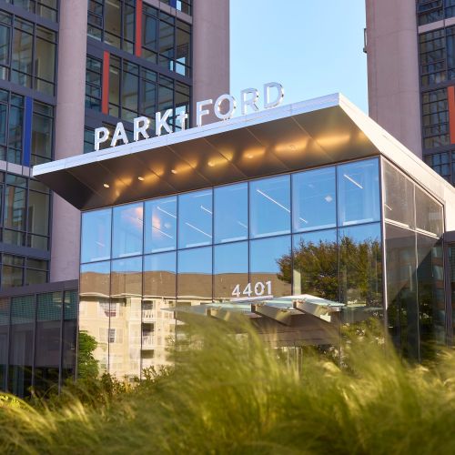 Find out what your future holds at Park + Ford