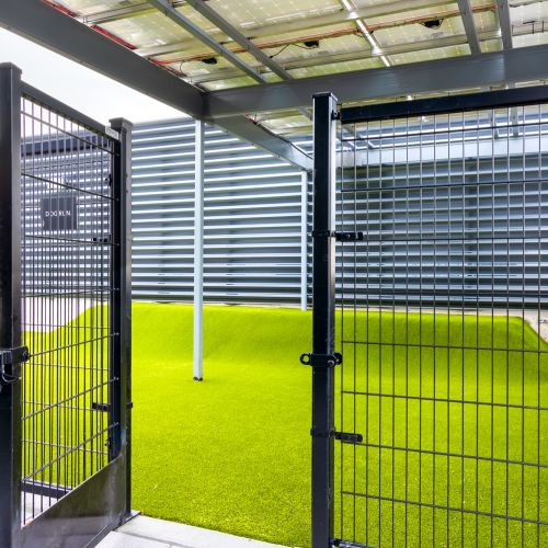 Fenced-in pet park for dogs to play & socialize