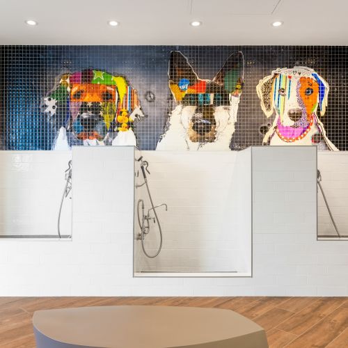 Pet wash area suitable for small or large canine companions