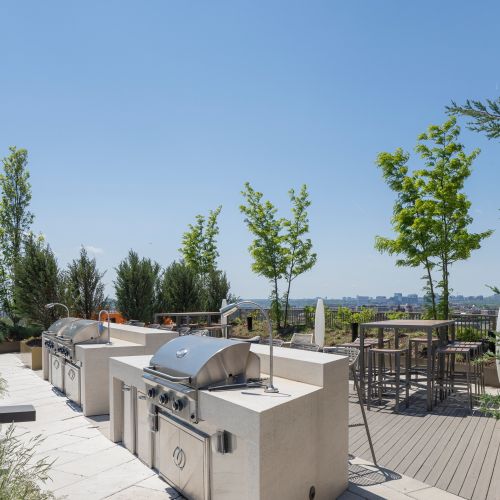 Propane grilling stations for community cookouts 