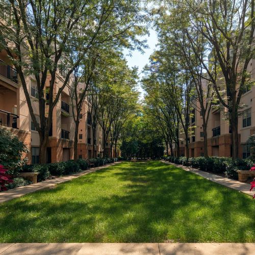 Strathmore Court at White Flint