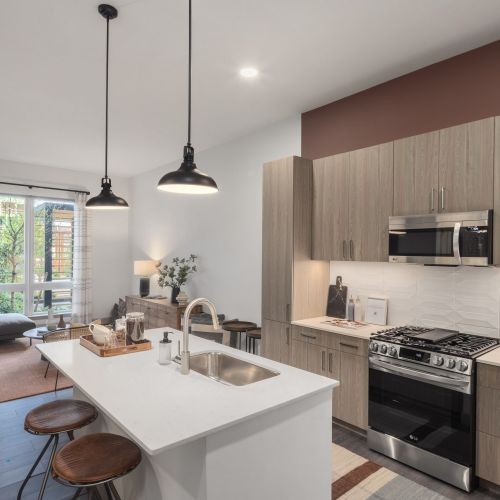 NorthLight : Elegantly Modern Living Spaces