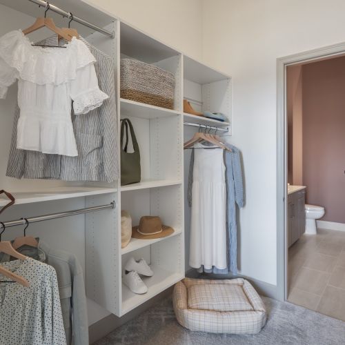 Custom Closets for the Fashionista