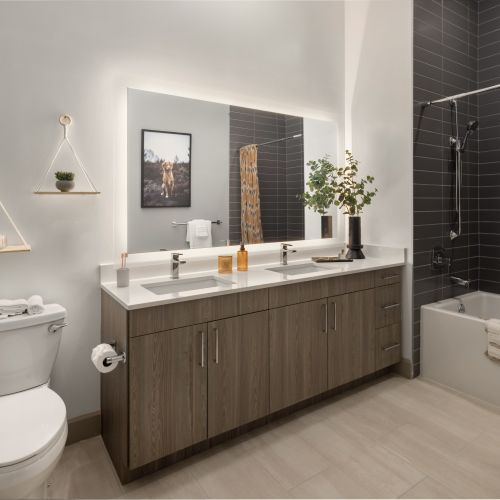 Backlit Mirrors for the Makeup Guru