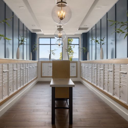 Check Your Mail in the Communal Mail Room