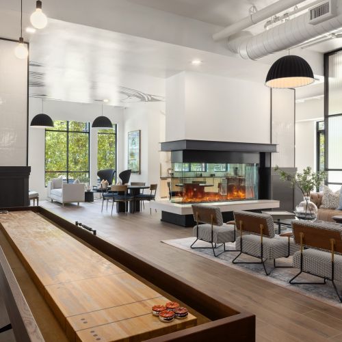 Shuffleboard for a Bit of Fun