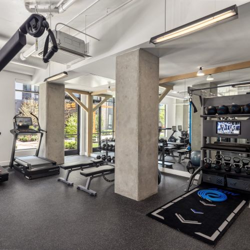 Dumbbells and Weight Training