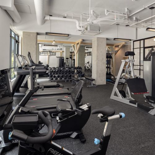 Bikes, Leg Presses and More