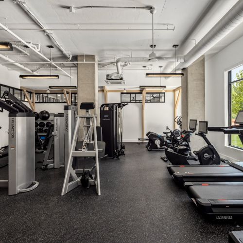 Treadmills for Cardio