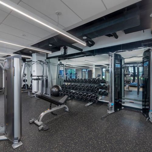 Cardio and strength training equipment to meet your fitness goals