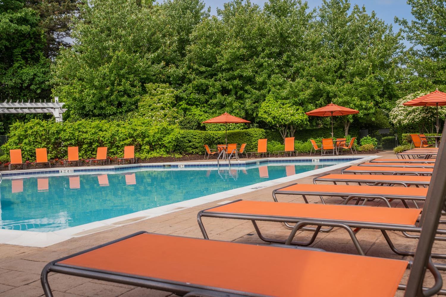 The Point at Pine Ridge : Community pool perfect for the warm, sunny days