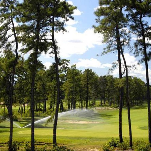 A round of golf is calling your name