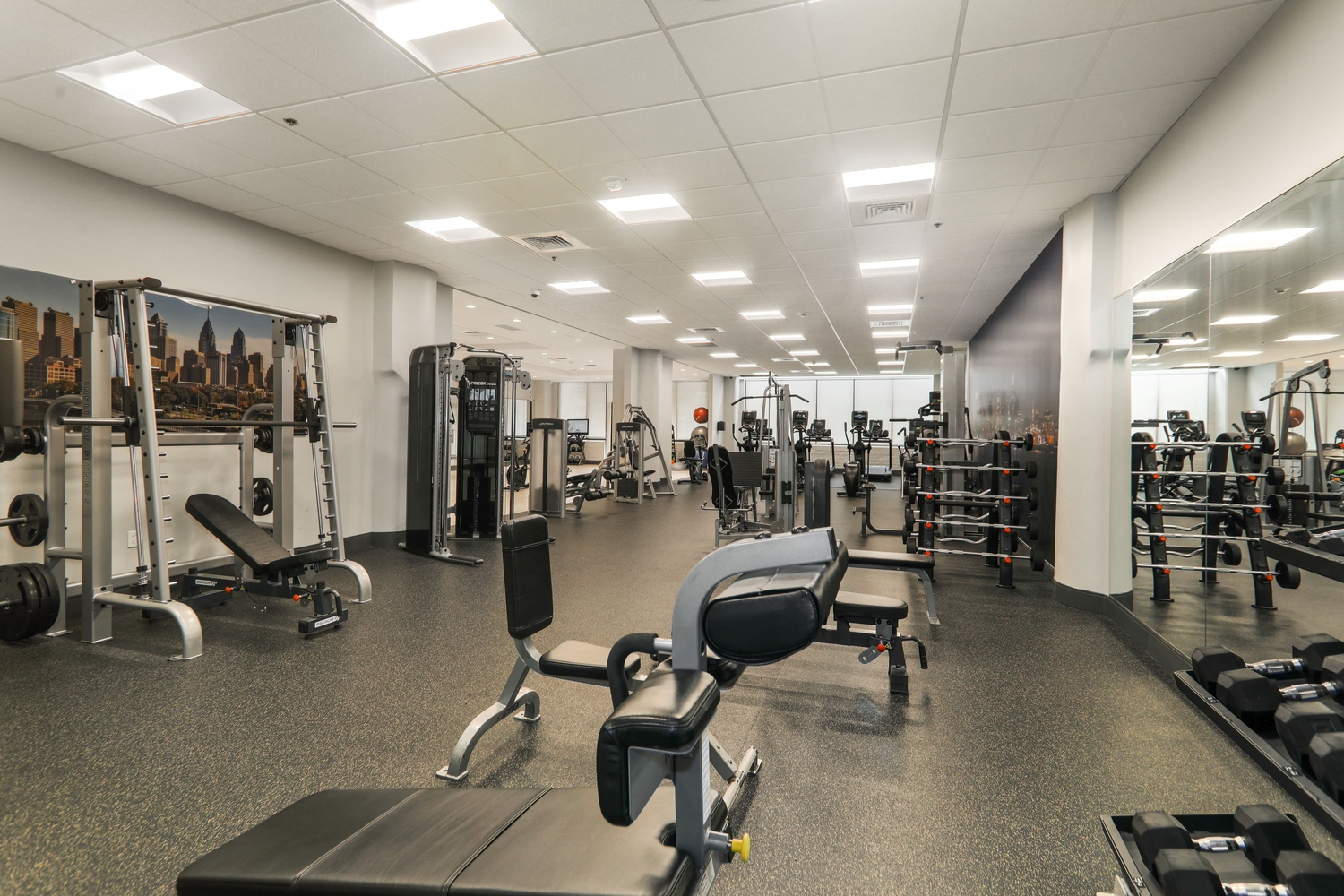 The Victor : Gym
