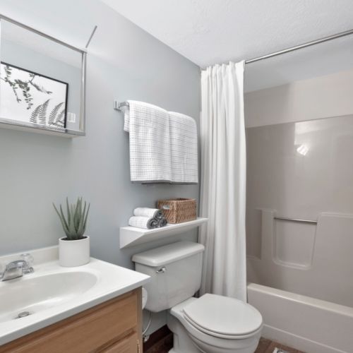 Bathroom Horizontal View