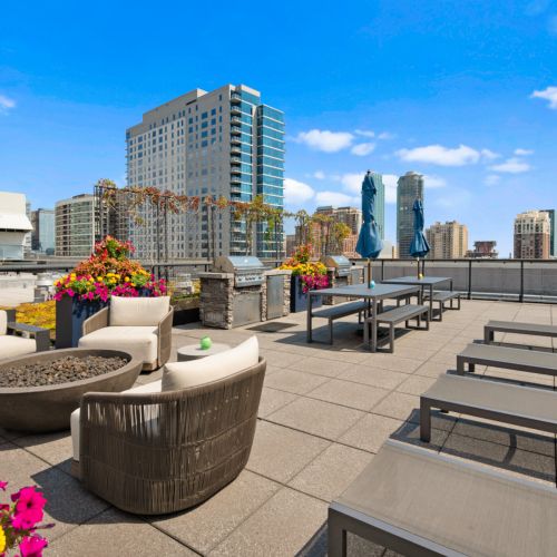 Roosevelt Collection Lofts : Rooftop View 1