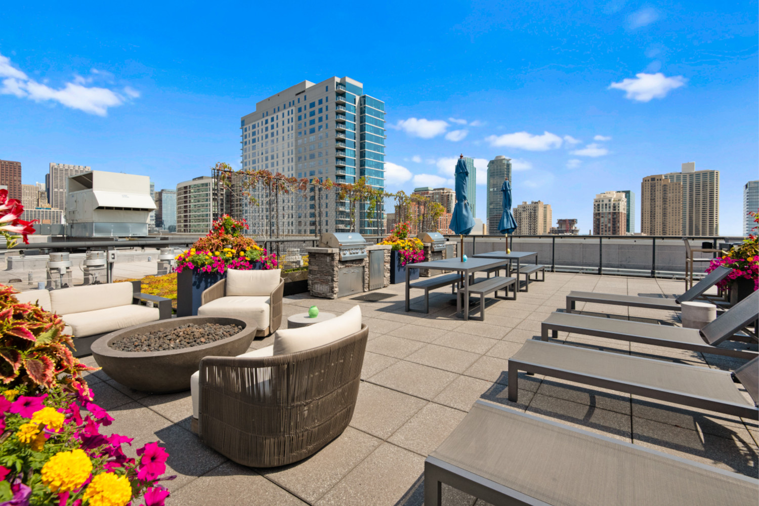 Roosevelt Collection Lofts : Rooftop View 1