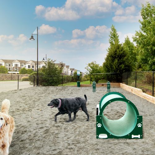 Dog Park