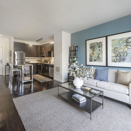 Apartment kitchen and living room	