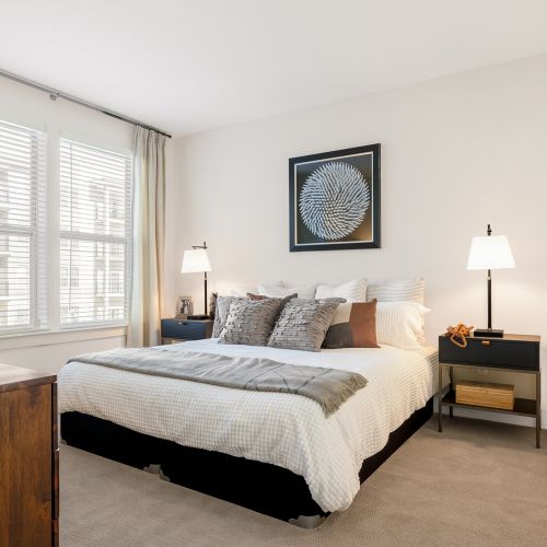 Light filled spacious apartments in Newark, D.E.