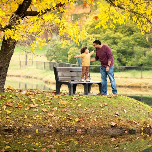 Nestled amongst natural surroundings.