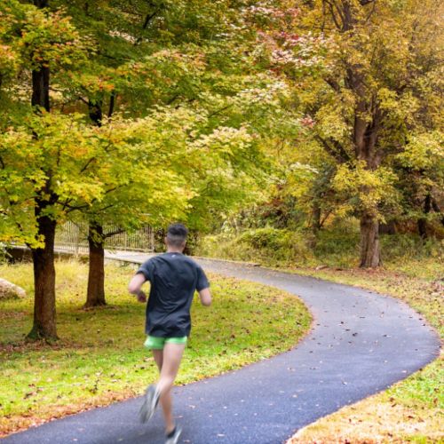 Stay active in Rock Creek Park.