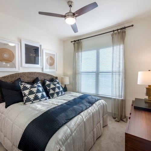 Our apartments feature plenty of natural light