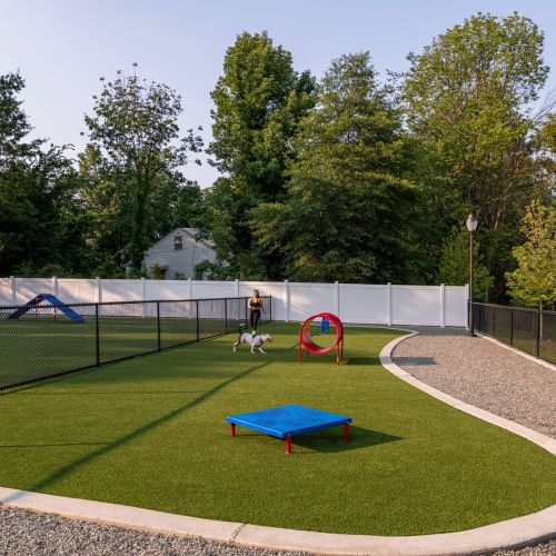 Pet park with resident and their dog