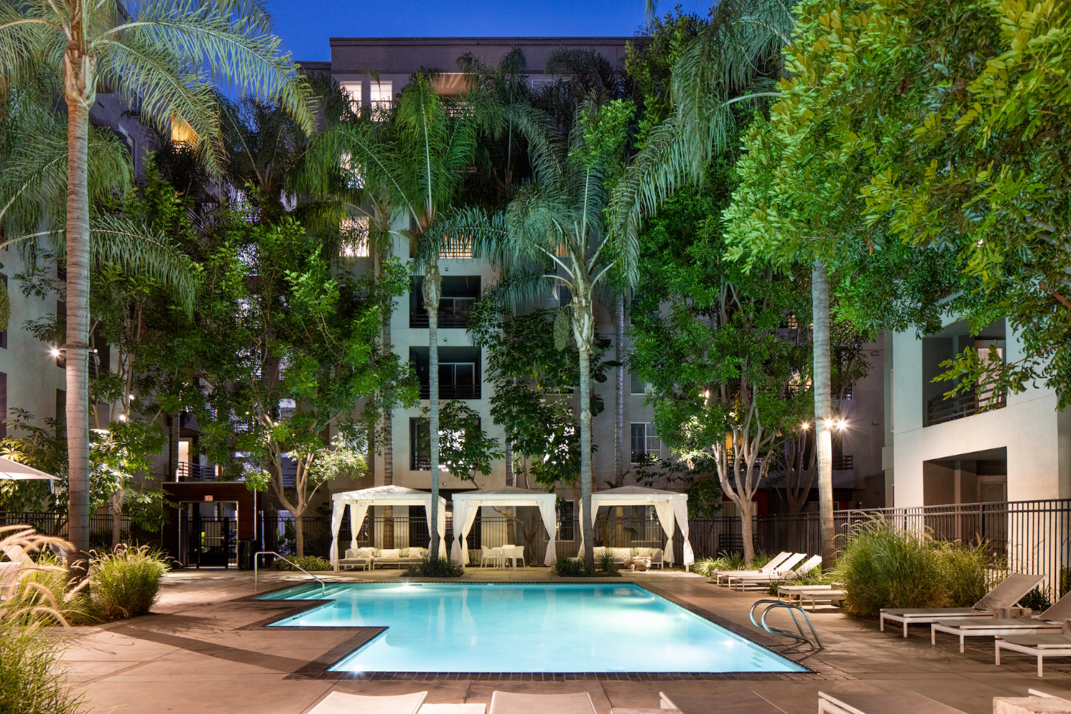AO Santa Monica : Pool