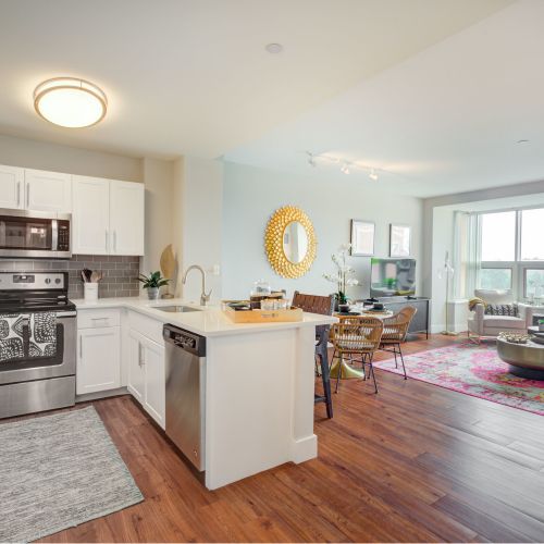 Halstead Burlington : Kitchen