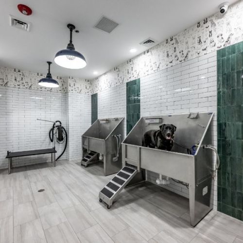 Halstead Countryside