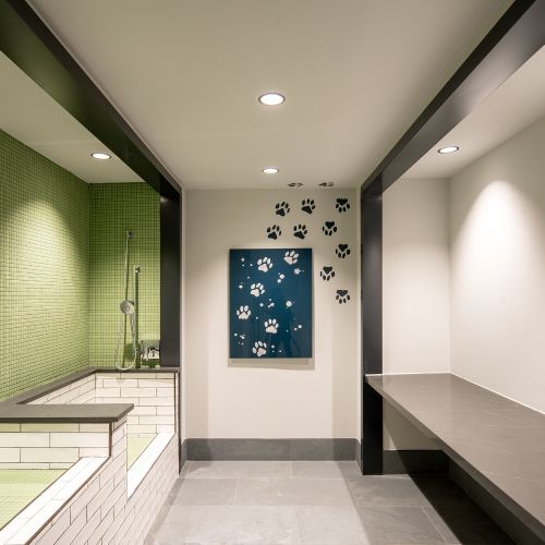 Our pet spa makes it easy to groom your pup