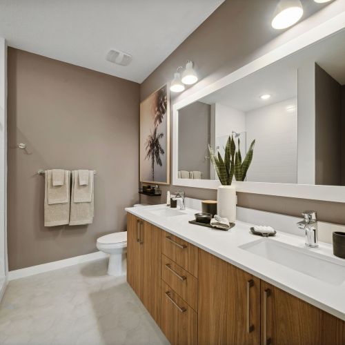 Curated bathrooms