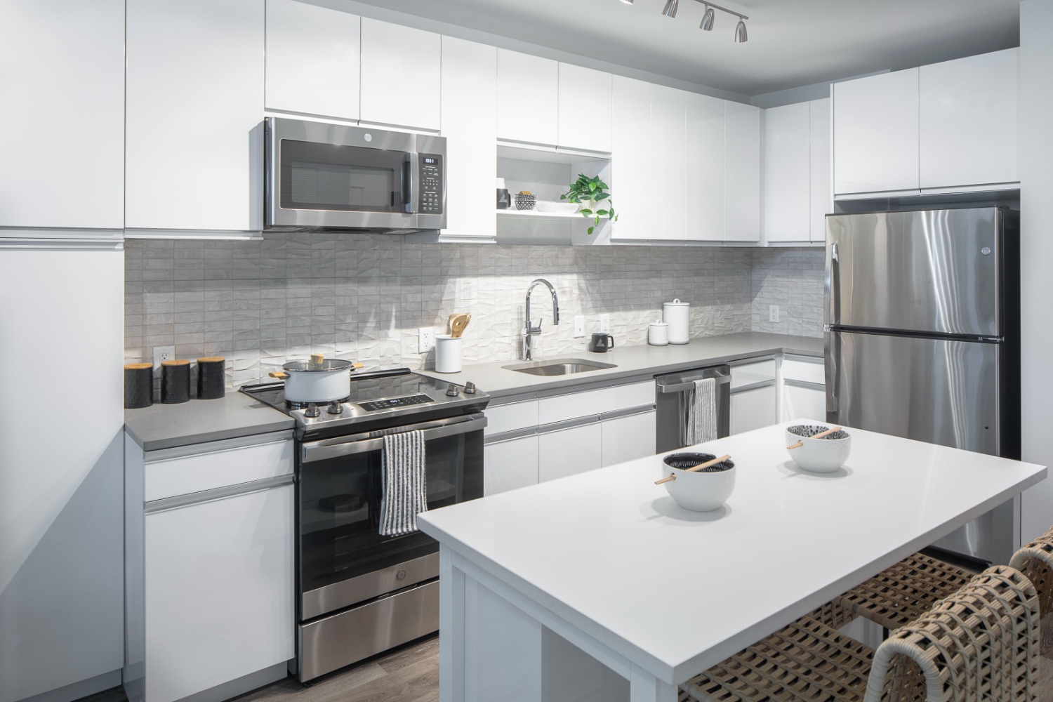250 Mission : GE stainless steel appliances