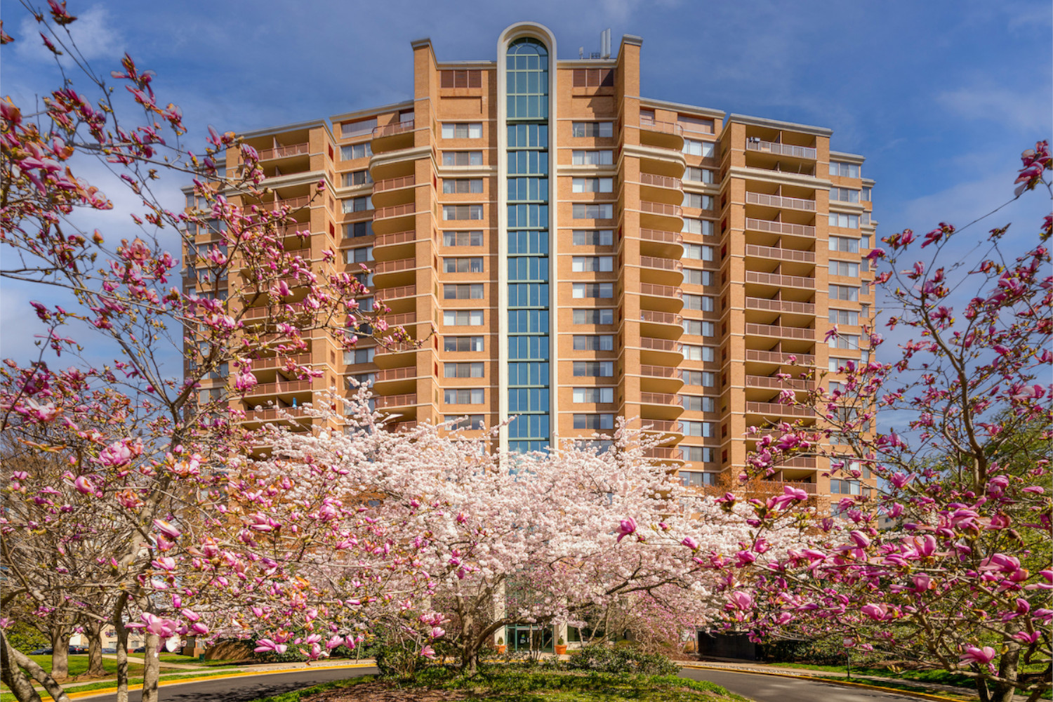 Grosvenor Tower : Blooms1