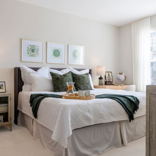 Spacious studio to three bedroom floor plans