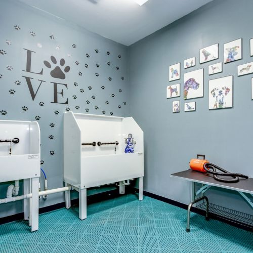 The Haven at Atwater Village