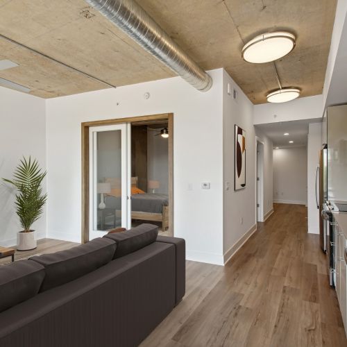 Exposed concrete ceilings and columns