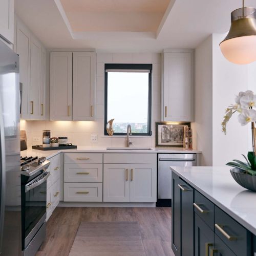 Quartz kitchen countertops with gas ranges