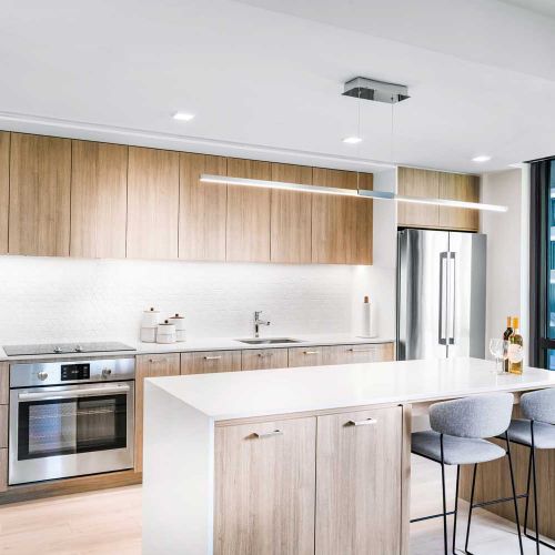 Full-sized panelized, stainless-steel appliances with induction cooktops